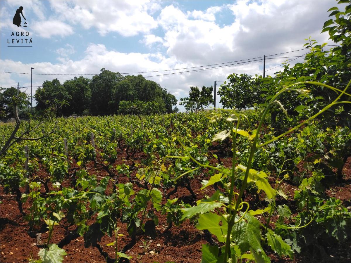 Agro Levita 로코로톤도 외부 사진